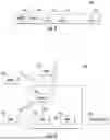 Fig. 05 - METHOD AND APPARATUS FOR PROVIDING VERY HIGH THROUGHPUT OPERATION AND CAPABILITY SIGNALING FOR WIRELESS COMMUNICATIONS