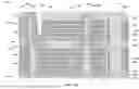 Fig. 18 - Microelectronic devices comprising stack structures having pillars and elliptical conductive contacts