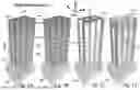 Fig. 02 - 3D MEMORY SEMICONDUCTOR DEVICES AND STRUCTURES WITH MEMORY-LINE PILLARS