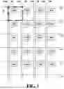 Fig. 02 - Array substrate and display apparatus