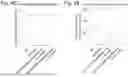 Fig. 09 - Use of Histamine Antagonists and Glucocorticoid for Treating and Preventing Neurodegenerative Diseases
