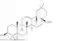 Fig. 04 - Identification of oleanolic acid and plant extract for glucose-6-phosphate dehydrogenase-related disorders including Bag3opathy