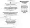 Fig. 03 - METHODS OF PRODUCING HUMAN RPE CELLS AND PHARMACEUTICAL PREPARATIONS OF HUMAN RPE CELLS