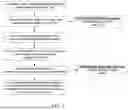 Fig. 04 - METHODS OF PRODUCING HUMAN RPE CELLS AND PHARMACEUTICAL PREPARATIONS OF HUMAN RPE CELLS