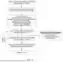 Fig. 06 - METHODS OF PRODUCING HUMAN RPE CELLS AND PHARMACEUTICAL PREPARATIONS OF HUMAN RPE CELLS