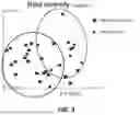 Fig. 04 - MITIGATION OF PATHOGENS IN PORCINE SPECIES