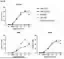 Fig. 07 - GAMMA DELTA T-CELL COSTIMULATION