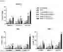 Fig. 09 - GAMMA DELTA T-CELL COSTIMULATION