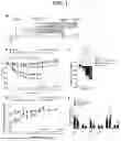 Fig. 02 - COMPOSITION COMPRISING GLP-1 RECEPTOR AGONIST AND ACAT INHIBITOR