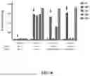 Fig. 06 - COMPOSITIONS AND METHODS RELATED TO IMMUNOGLOBULIN PROTEASES AND FUSIONS THEREOF