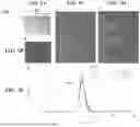 Fig. 07 - APPARATUS FOR DETERMINING ADMINISTRATION FORM OF A COMPOSITION OF AN ENGINEERED VIRUS-BASED NANOPARTICLE FOR A TREATMENT OF AN AUTOIMMUNE CONDITION