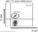 Fig. 01 - GENETICALLY MODIFIED ANTI-THIRD PARTY CENTRAL MEMORY T CELLS AND USE OF SAME IN IMMUNOTHERAPY