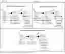 Fig. 02 - GENETICALLY MODIFIED ANTI-THIRD PARTY CENTRAL MEMORY T CELLS AND USE OF SAME IN IMMUNOTHERAPY