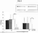 Fig. 04 - GENETICALLY MODIFIED ANTI-THIRD PARTY CENTRAL MEMORY T CELLS AND USE OF SAME IN IMMUNOTHERAPY