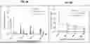 Fig. 07 - GENETICALLY MODIFIED ANTI-THIRD PARTY CENTRAL MEMORY T CELLS AND USE OF SAME IN IMMUNOTHERAPY