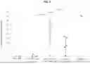 Fig. 09 - GENETICALLY MODIFIED ANTI-THIRD PARTY CENTRAL MEMORY T CELLS AND USE OF SAME IN IMMUNOTHERAPY