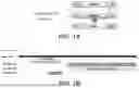 Fig. 02 - IMMUNOGENIC COMPOSITIONS