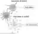 Application 20240148853, fig. 01