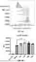 Fig. 32 - MRNA therapeutic compositions