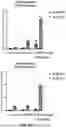 Fig. 34 - MRNA therapeutic compositions