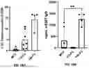 Fig. 38 - MRNA therapeutic compositions