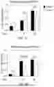 Fig. 02 - RECOMBINANT RSV VACCINE: METHODS OF MAKING AND USING THE SAME