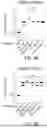 Fig. 09 - RECOMBINANT RSV VACCINE: METHODS OF MAKING AND USING THE SAME