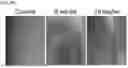 Fig. 34 - SPONTANEOUS RESPIRATORY BIOMATERIAL FOR TISSUE ENGINEERING