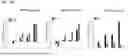 Fig. 46 - SPONTANEOUS RESPIRATORY BIOMATERIAL FOR TISSUE ENGINEERING