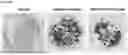 Fig. 65 - SPONTANEOUS RESPIRATORY BIOMATERIAL FOR TISSUE ENGINEERING