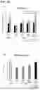 Fig. 71 - SPONTANEOUS RESPIRATORY BIOMATERIAL FOR TISSUE ENGINEERING