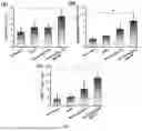 Fig. 08 - IMMUNOADJUVANT-BASED HYDROGEL COMPOSITION AND USE THEREOF
