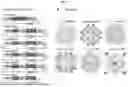 Fig. 02 - PROTEIN FUSED WITH MOLECULE CAPABLE OF BINDING TO IMMUNE CHECKPOINT MOLECULE AND USE OF SAME