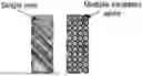Fig. 01 - AESTHETIC METHOD OF BIOLOGICAL STRUCTURE TREATMENT BY MAGNETIC FIELD