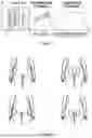 Fig. 13 - AESTHETIC METHOD OF BIOLOGICAL STRUCTURE TREATMENT BY MAGNETIC FIELD