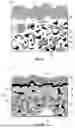 Fig. 05 - Oxidation and wear resistant brazed coating