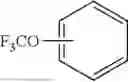 Fig. 02 - CATALYTIC METHOD FOR THE PREPARATION OF PERFLUOROALKOXY-SUBSTITUTED ARENES AND HETEROARENES