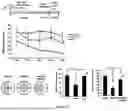 Fig. 13 - COMPOSITION FOR PREVENTING OR TREATING DISEASES CAUSED BY MITOCHONDRIAL DYSFUNCTION, CONTAINING ISOQUINOLINE DERIVATIVE COMPOUND AS ACTIVE INGREDIENT