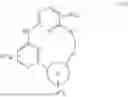 Fig. 05 - MACROCYCLIC COMPOUNDS AND USES THEREOF