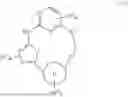 Fig. 07 - MACROCYCLIC COMPOUNDS AND USES THEREOF