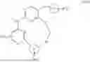 Fig. 09 - MACROCYCLIC COMPOUNDS AND USES THEREOF