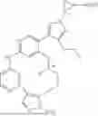 Fig. 197 - MACROCYCLIC COMPOUNDS AND USES THEREOF