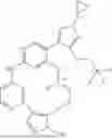 Fig. 201 - MACROCYCLIC COMPOUNDS AND USES THEREOF