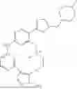 Fig. 261 - MACROCYCLIC COMPOUNDS AND USES THEREOF