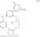 Fig. 30 - MACROCYCLIC COMPOUNDS AND USES THEREOF