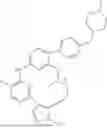 Fig. 303 - MACROCYCLIC COMPOUNDS AND USES THEREOF