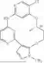 Fig. 320 - MACROCYCLIC COMPOUNDS AND USES THEREOF