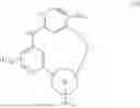 Fig. 372 - MACROCYCLIC COMPOUNDS AND USES THEREOF