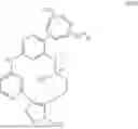 Fig. 92 - MACROCYCLIC COMPOUNDS AND USES THEREOF