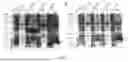 Fig. 04 - Application of MmPI in Preparation of Trypsin Inhibitors